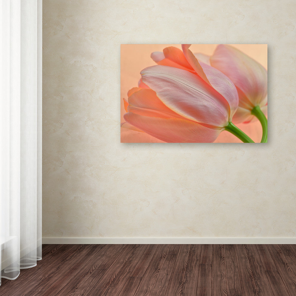 Cora Niele ''Two Orange Tulips'' Canvas Art