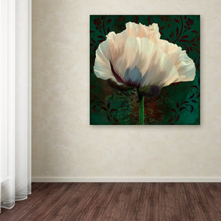 Tina Lavoie 'Poppy In Verdigris And Rust II' Canvas Art, 14" x 14"