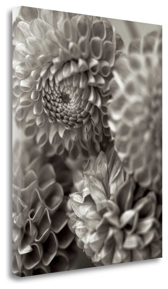 "Florison - 13" By Alan Blaustein, Giclee Print on Gallery Wrap Canvas