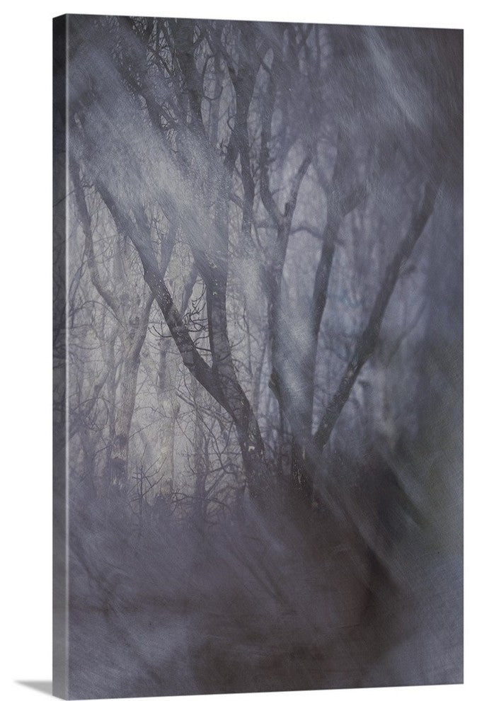 "Woodland Dreams" Wrapped Canvas Art Print, 16"x24"x1.5"