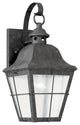 Generation Lighting Lighting 1-Light Outdoor Lantern, Oxidized Bronze