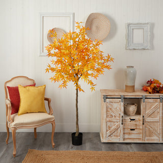 Real environment lifestyle image showing the full tree in a room.