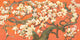 "Magnolia Branches I" Painting Print on Canvas by Evelia