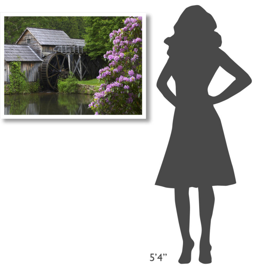 "Rhododendron blossoming at Mabry Mill, Blue Ridge Parkway Paper Art, 38"x27.56"
