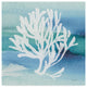Lisa Audit 'Sea Life Coral I' Canvas Art, 24"x24"