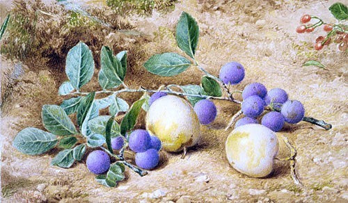 John William Hill Plums, 18"x27" Gallery Wrapped Canvas Print