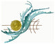 Coastal Home Decor 'Sunrise Waves' - Abstract Ocean Waves Art on Stainless Steel