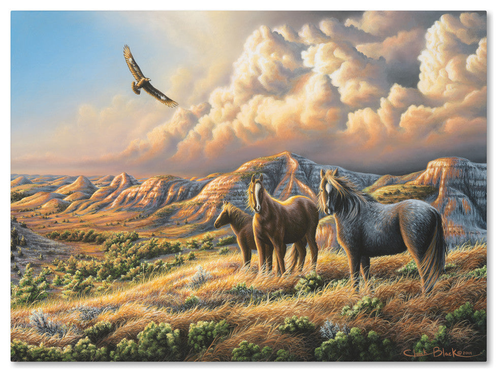 Chuck Black 'Under Wild Skies' Canvas Art, 24x18