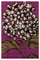 Int Transitional Area Rug