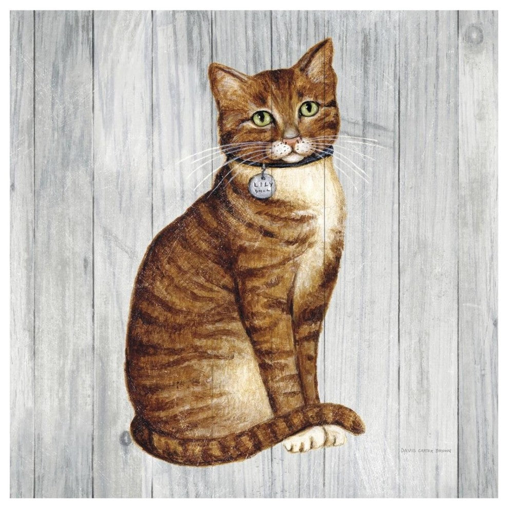 "Country Kitty IV on Wood" Digital Paper Print by David Carter Brown, 32"x32"