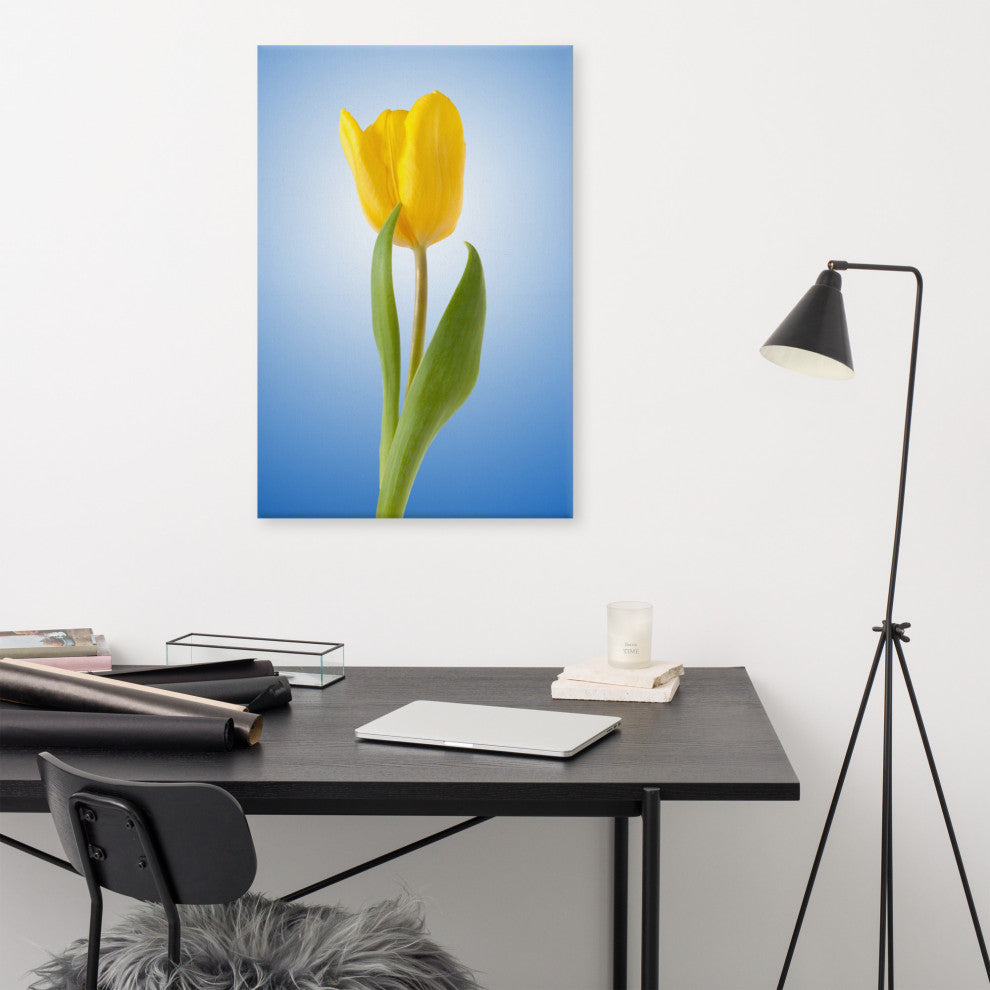 Yellow Tulip Minimal Botanical Floral Nature Photo Canvas Wall Art Print, 24" X 36"