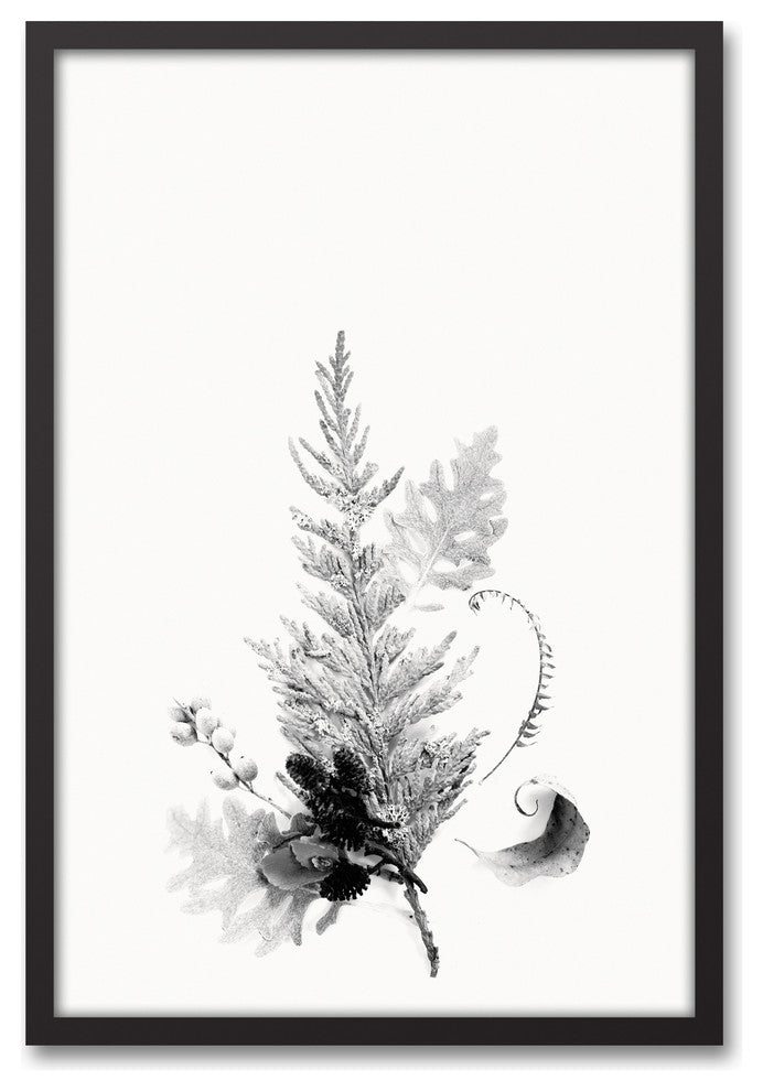 Black and White Transparent Fern 20x30 Black Framed Canvas