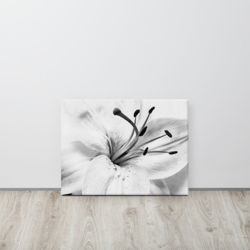Grey Floral Canvas: High-key Lily Floral Nature Photo Wall Art Print, 18" X 24"