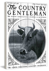"CG Cow" Painting Print on White Wood