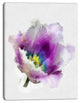 Purple Watercolor Tulip Flower, Floral Canvas Art Print, 12"x20"