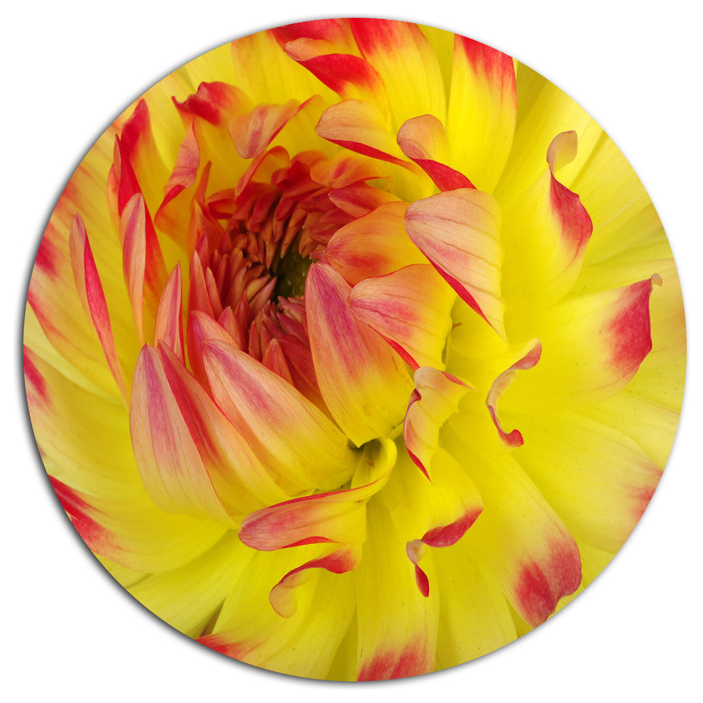 Smooth Yellow Red Flower Petals, Floral Round Metal Wall Art, 36"