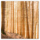Trees Ceramic Tile Wall Mural HZ501007-55M. 30" x 30"