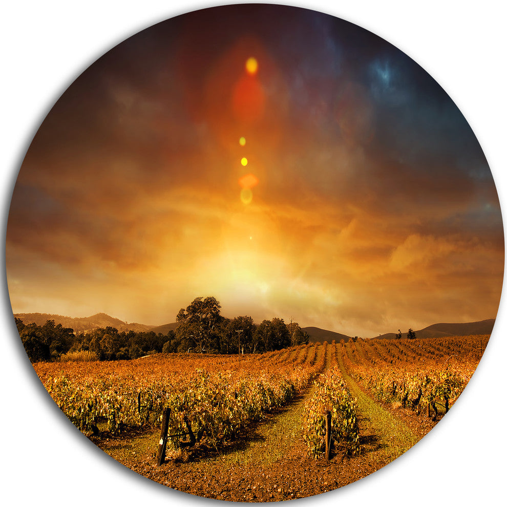 Yellow Autumn Vineyard Sunset, Landscape Disc Metal Artwork, 11"