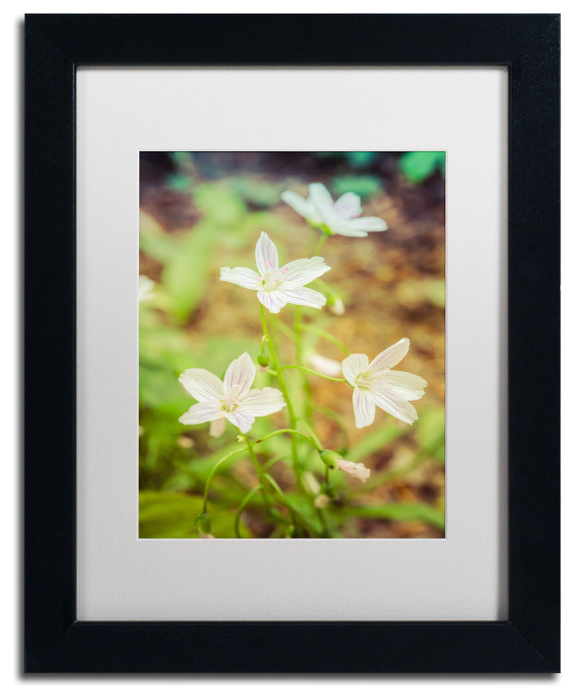 PIPA Fine Art 'Tranquil Carolina Spring Beauty' Matted Framed Art, 14x11