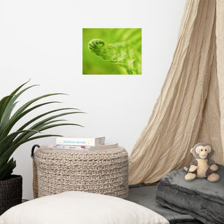 Fern Curl Nature Photography, Botanical Unframed Wall Art Print, 11" X 14"