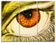 "Eye With Orange Pupil" Painting Canvas Art Print, 3 Panels, 36"x28"