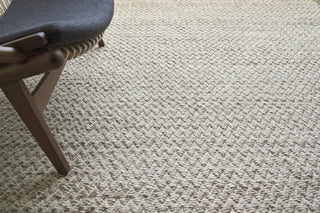 Rialto Handwoven Polyester and Cotton Gray Area Rug