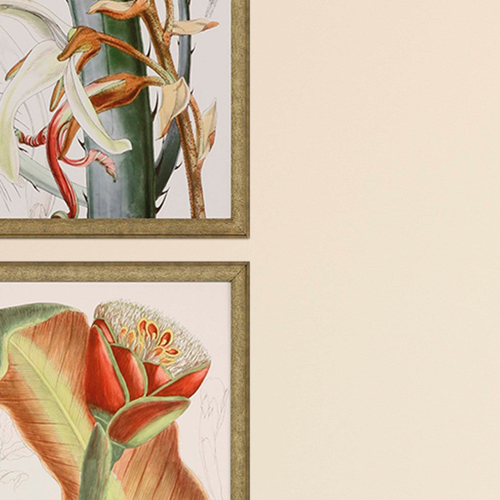Tropical Variety, Set of 4