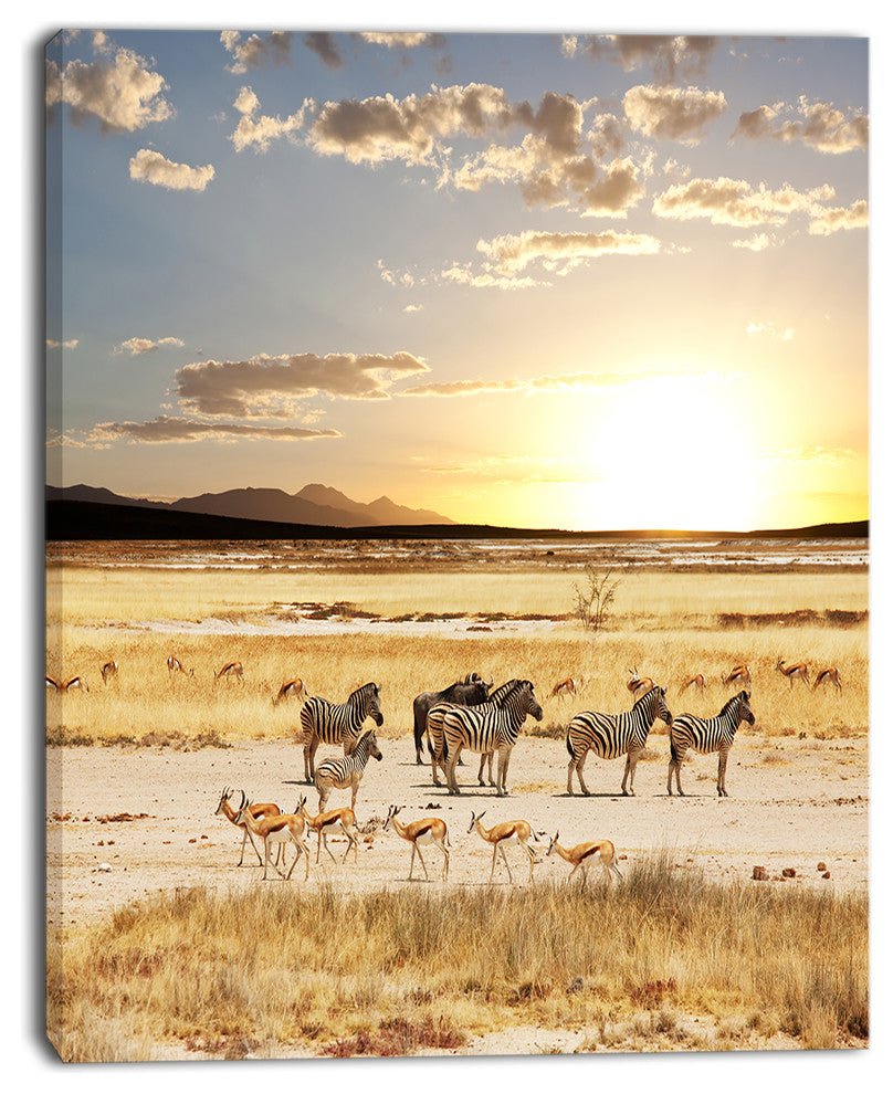 Zebras and Antelopes in Africa, African Landscape Canvas Art, 12"x20"