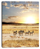 Zebras and Antelopes in Africa, African Landscape Canvas Art, 12"x20"