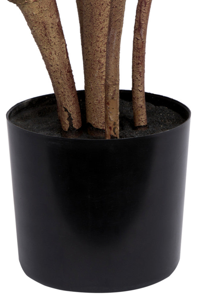 Close-up of the base/trunk area on white background.