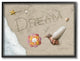 Dream In Sand, Starfish Sand Dollar and Seashell Hummingbird, Framed, 24"x30"