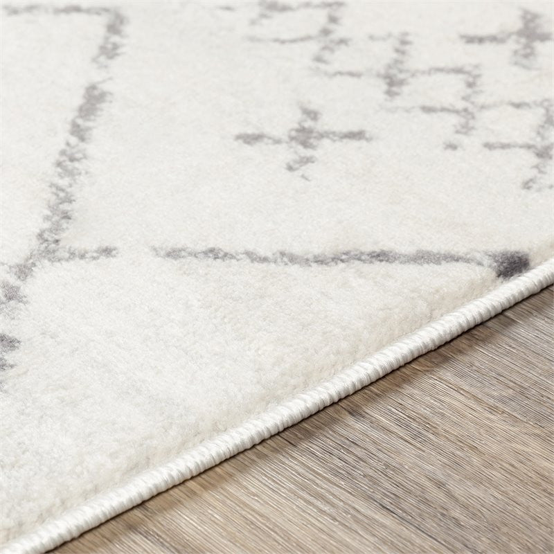 Surya Roma ROM-2338 9'x12'3" Rug, White/Medium Gray