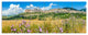 Ancient Town of Assisi Panorama, Landscape Canvas Art Print, 70"x28", 6 Panels