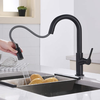 Fusion Single Handle Pull Down Kitchen & Bar Sink Faucet, Matte Black
