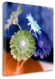 "Floral Color - 3" By Alan Blaustein, Giclee Print on Gallery Wrap Canvas