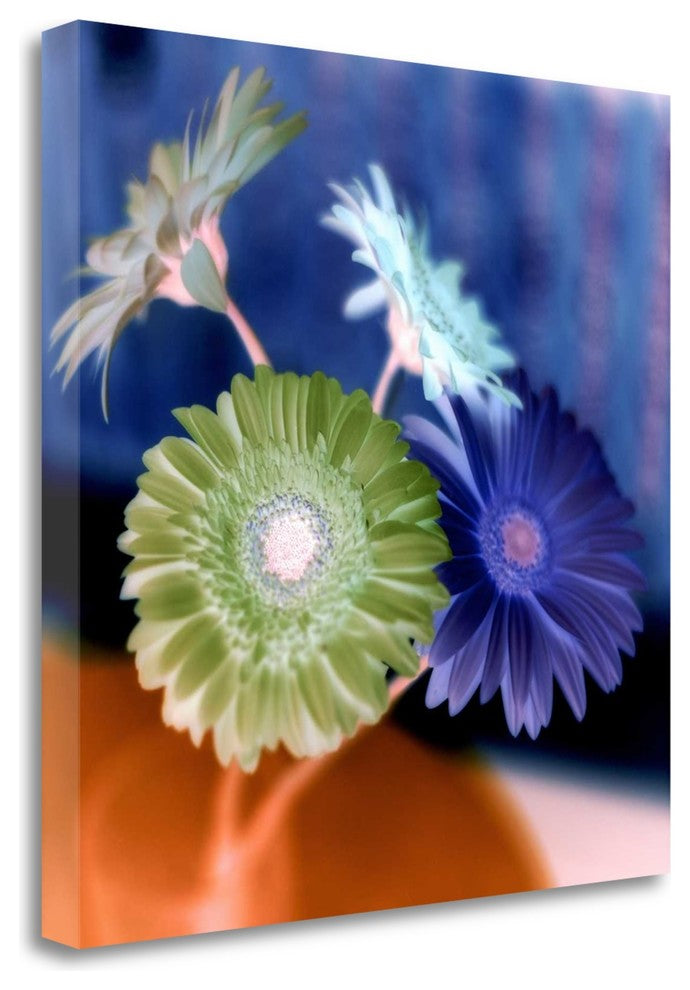 "Floral Color - 3" By Alan Blaustein, Giclee Print on Gallery Wrap Canvas