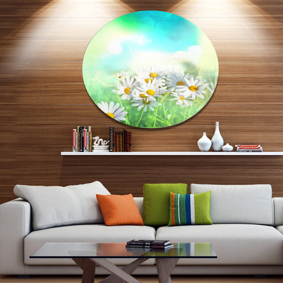 Chamomiles On Abstract Background, Floral Disc Metal Wall Art, 11"