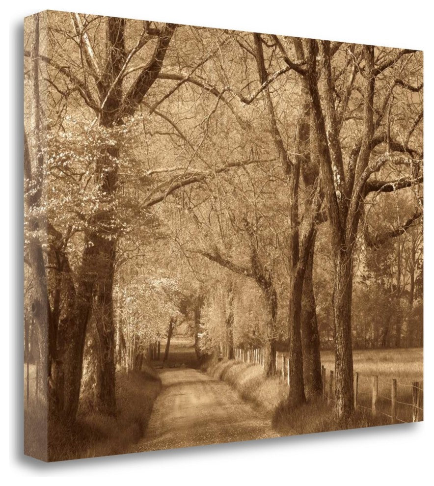 "Smokies Road" By Wendy Caro, Giclee Print on Gallery Wrap Canvas, Ready to Hang