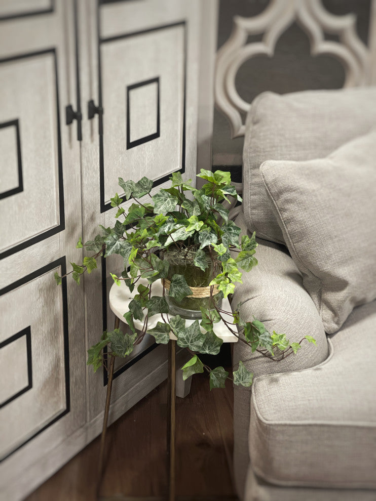 Ivy in Glass Vase with Rope