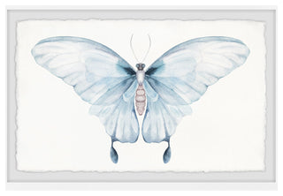 "Butterfly Beauty" Framed Painting Print, 18x12