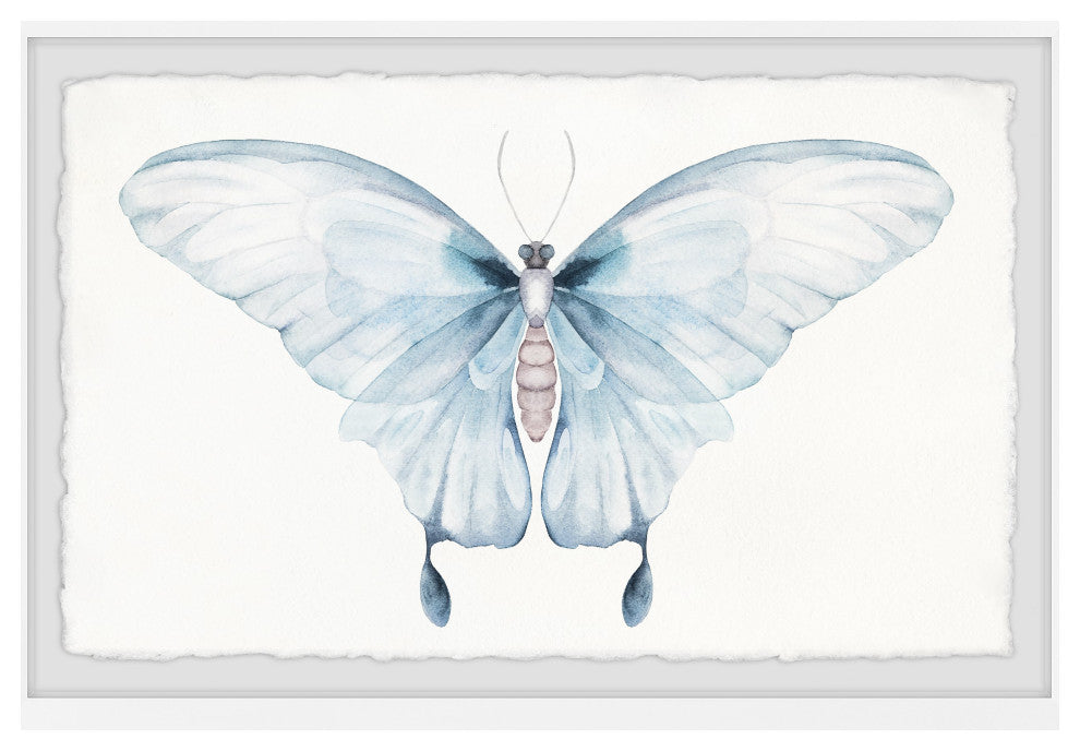 "Butterfly Beauty" Framed Painting Print, 18x12