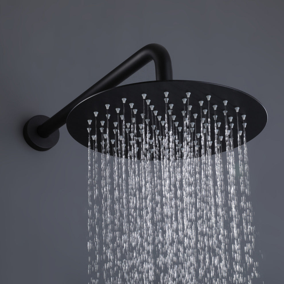 10-12 Inch High Pressure Shower Head Stainless Steel Ultra-Thin Rain Showerheads, Matte Black, 10 Inches, Round