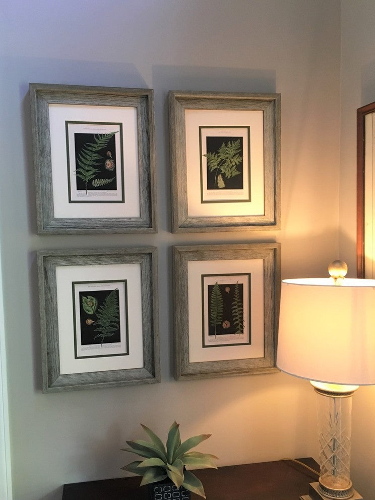 Original Vintage 1925 Botanical Fern Framed Prints, Set of 2