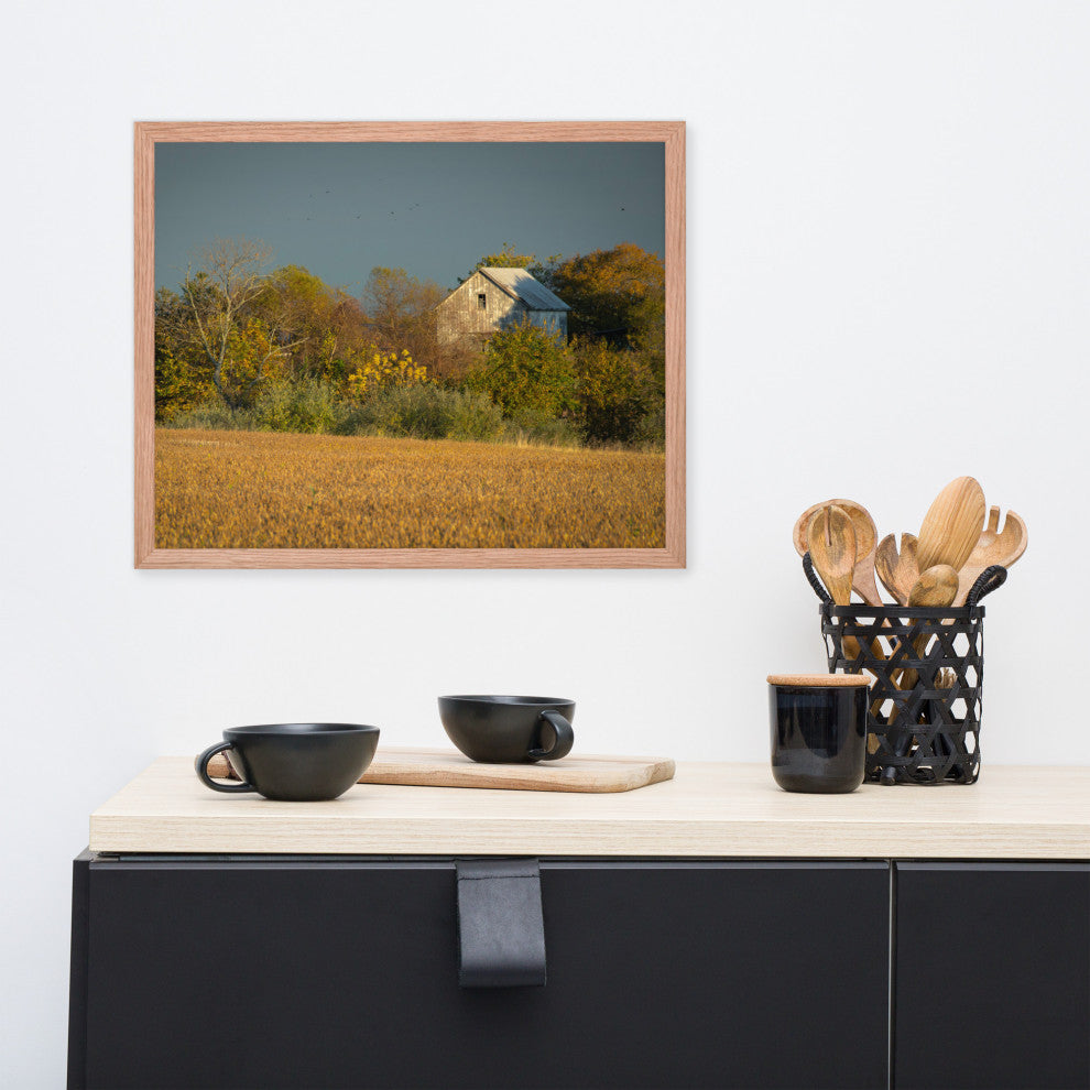 Abandoned Barn In The Trees Framed Photo Paper Wall Art Prints, Red Oak, 16" X 20"