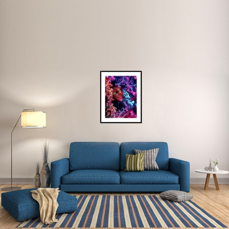 "Coral Hind" Framed Digital Print by Dani Barchana, 32x40"
