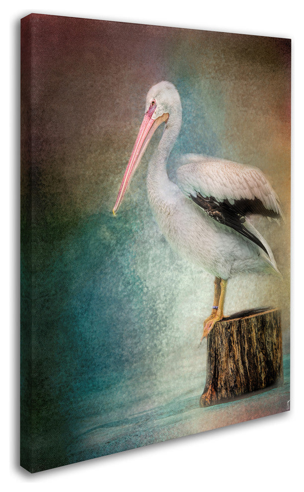 Jai Johnson 'Perched Pelican' Canvas Art, 24 x 18