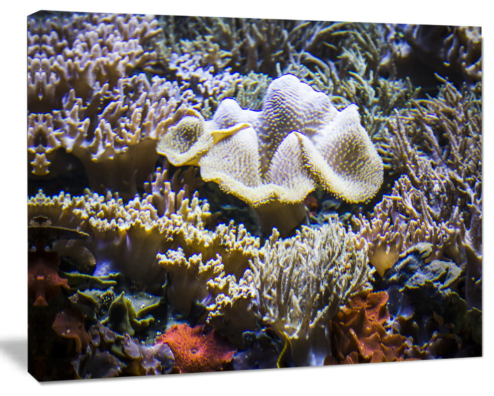 Beautiful Seabed With Fish, Large Landscape Canvas Art, 40"x30"