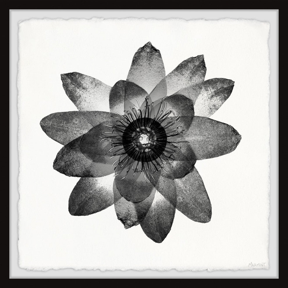 "Floral Harmony" Framed Painting Print, 24x24
