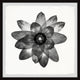 "Floral Harmony" Framed Painting Print, 24x24
