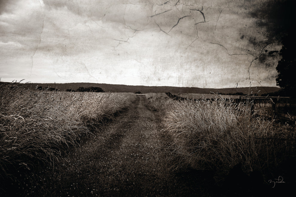 54x36 Path V, Unframed Artwork